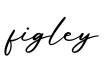 单词figley书写