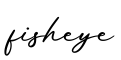单词fisheye书写