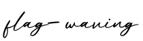 单词flag-waving书写