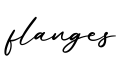 单词flanges书写