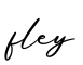 单词fley书写