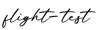 单词flight-test书写