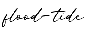 单词flood-tide书写