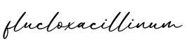 单词flucloxacillinum书写