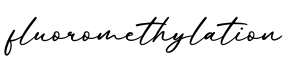 单词fluoromethylation书写