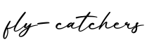 单词fly-catchers书写