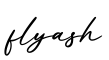 单词flyash书写