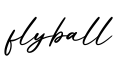 单词flyball书写