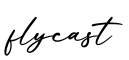 单词flycast书写