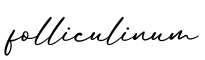 单词folliculinum书写