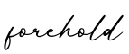 单词forehold书写