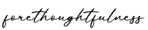 单词forethoughtfulness书写