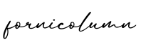 单词fornicolumn书写