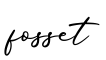 单词fosset书写