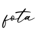单词fota书写