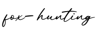 单词fox-hunting书写