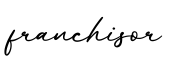单词franchisor书写