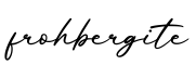 单词frohbergite书写