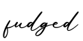 单词fudged书写