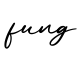 单词fung书写