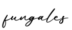单词fungales书写