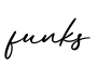 单词funks书写