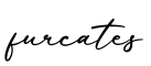 单词furcates书写