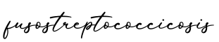 单词fusostreptococcicosis书写