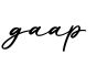 单词gaap书写
