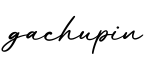 单词gachupin书写