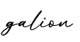 单词galion书写