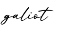 单词galiot书写