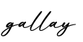 单词gallay书写