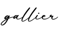 单词gallier书写