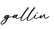 单词gallin书写