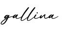 单词gallina书写