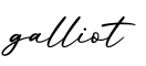单词galliot书写