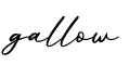 单词gallow书写