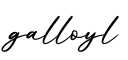 单词galloyl书写