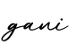 单词gani书写