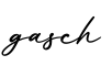 单词gasch书写