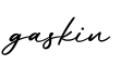 单词gaskin书写
