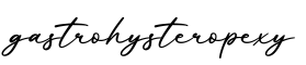 单词gastrohysteropexy书写