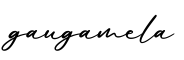 单词gaugamela书写