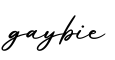 单词gaybie书写