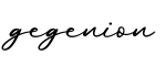 单词gegenion书写