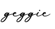 单词geggie书写