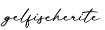 单词gelfischerite书写
