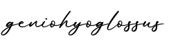 单词geniohyoglossus书写