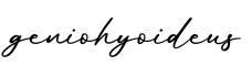 单词geniohyoideus书写